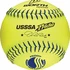 Worth Pride PRIDEFP 12 Inch Official USSSA Leather Fastpitch Softball